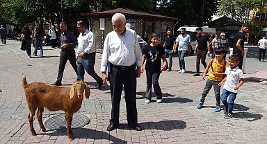 Evladı gibi sevdiği keçiyi yanından ayırmıyor