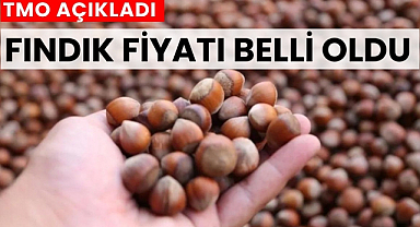Fındık fiyatı belli oldu TMO fındık alım fiyatını açıkladı