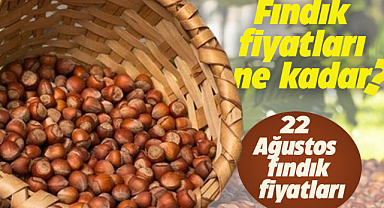 Fındık fiyatları ne kadar oldu? 22 Ağustos fındık fiyatları