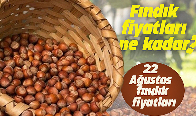 Fındık fiyatları ne kadar oldu? 22 Ağustos fındık fiyatları