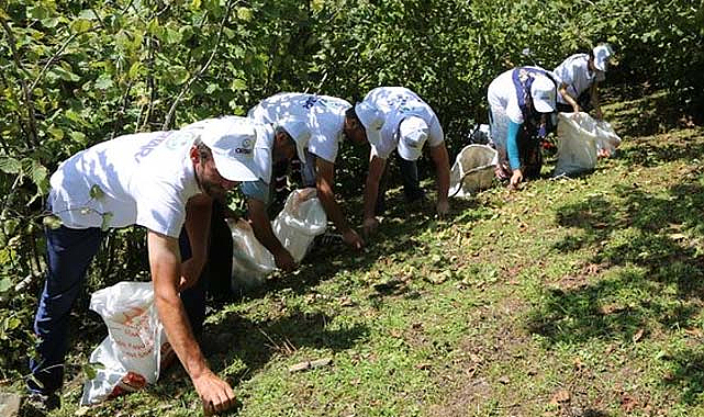 Fındık işçisi günlük ne kadar kazanıyor? Fındık yevmiyesi fiyatları