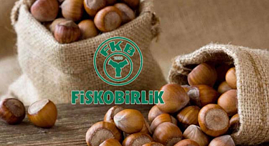 Fiskobirlik 2024 fındık alımlarına başladı