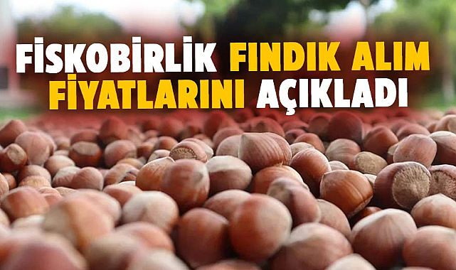 Fiskobirlik fındık alım fiyatlarını açıkladı