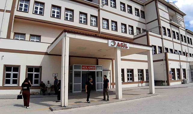 Görev yapan personele arılar saldırdı: Hastanelik oldular