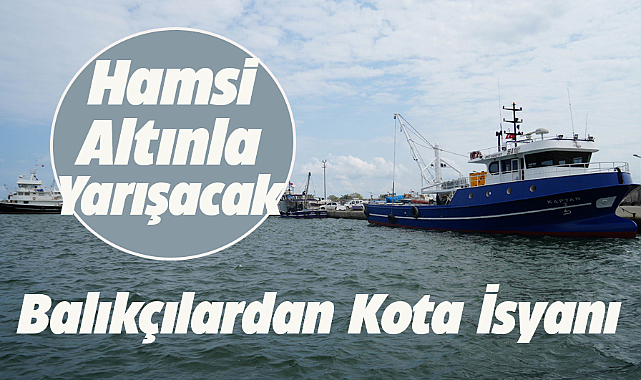 Samsun'da hamsi kotası balıkçıları zorlayacak!