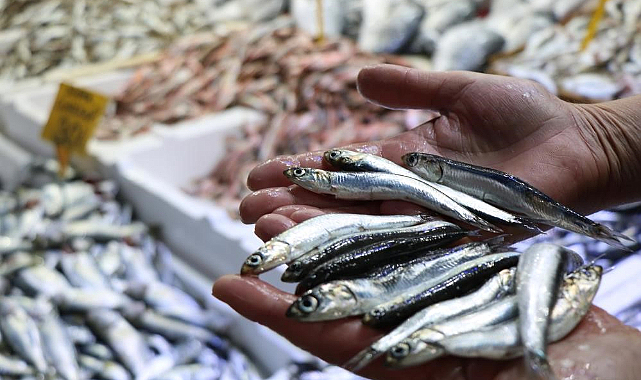 Hamsiye de kota geldi! İstenilen kadar avlanamayacak