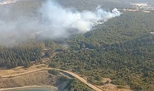 İzmir’in Aliağa ilçesinde ormanlık alanda yangın çıktı