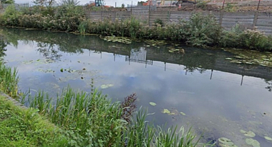 Kanala sodyum siyanür döküldü, dikkat! uyarısı yapıldı