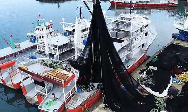 Karadeniz'deki hayalet ağlar deniz ekosistemini tehdit ediyor