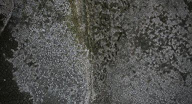 Ladik Gölü kuruyor