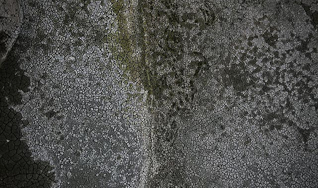 Ladik Gölü kuruyor