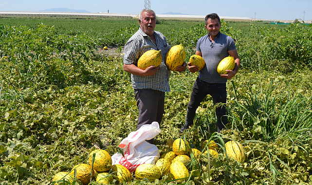 Manisa'da ürettikleri kavun ve karpuzu bedava dağıttılar