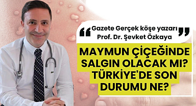 Maymun çiçeğinde salgın olacak mı? Türkiye'de son durumu ne? Şevket Özkaya cevapladı