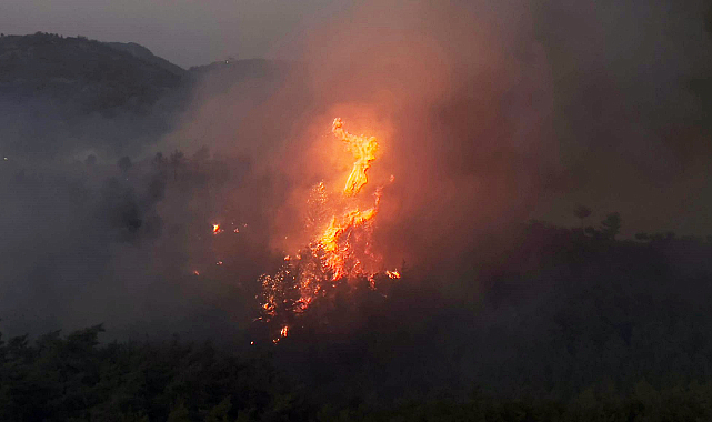 Muğla'da çıkan orman yangını 5 saattir söndürülemiyor