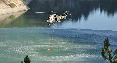 Orman yangını 72 saatin ardından kontrol altına alındı