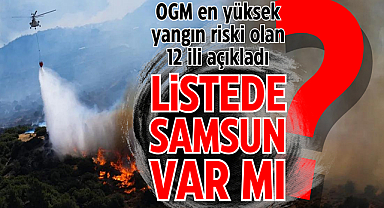 Orman yangını riski yüksek 12 il açıklandı. Aralarında Samsun da var mı?