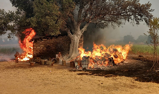 Orman yangınlarına karışan 2 kişi tutuklandı! 7 kişi ise gözaltında