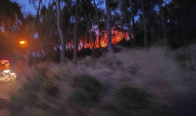 Ormanlık alanda yangın