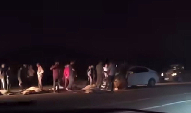 Otomobil sürüye çarptı: 21 koyun telef oldu