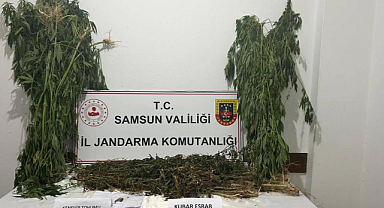 Samsun'da 6 kilo esrar ele geçirildi
