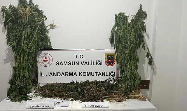 Samsun'da 6 kilo esrar ele geçirildi