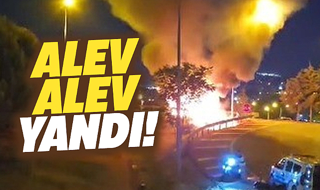 Samsun'da Almanya'dan gelen ailenin otomobili alev alev yandı