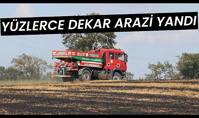 Samsun'da anız yangını 150 dekar alan kül oldu