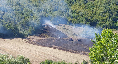 Samsun'da anız yangını