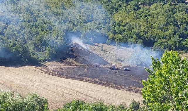 Samsun'da anız yangını