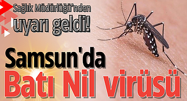Samsun'da Batı Nil virüsü uyarısı! Samsun'da görüldü mü? Nasıl bulaşır? Belirtileri nelerdir?