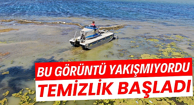 Samsun'da beklenen temizlik Kurupelit Yat Limanı'nda yosun temizliği başladı