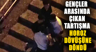 Samsun’da gençler arasında çıkan sözlü tartışma, horoz dövüşüne döndü