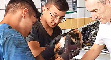 Samsun’da motorun içinde mahsur kalan kedi kurtarıldı