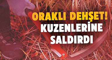 Samsun'da oraklı dehşet! Kuzenlerine saldırdı