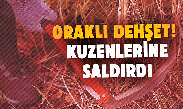 Samsun'da oraklı dehşet! Kuzenlerine saldırdı