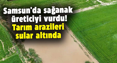Samsun'da sağanak üreticiyi vurdu! Tarım arazileri sular altında