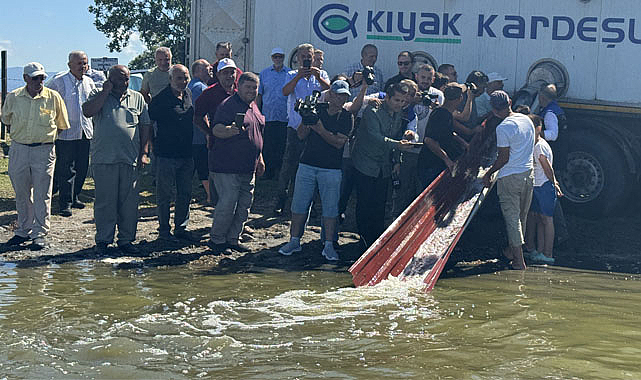 Samsun'da su kaynaklarına 3 milyon 5 bin adet sazan yavrusu bırakıldı