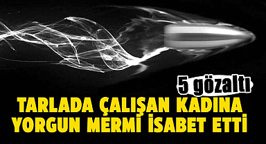 Samsun’da tarlada çalışan kadına yorgun mermi isabet etti