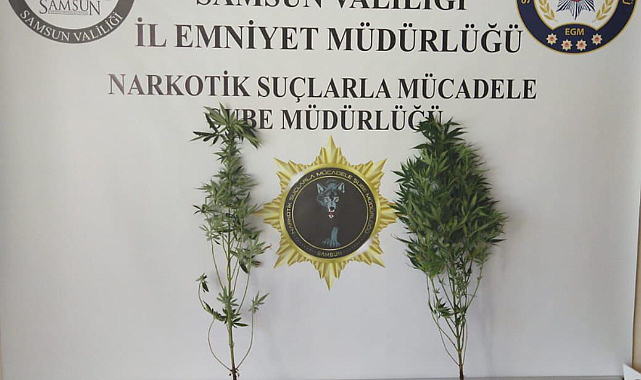 Samsun’da uyuşturucu baskınına 20 gözaltı