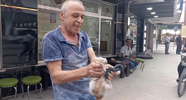 Samsun’da yavru kediyi kurtarmak için mücadele etti