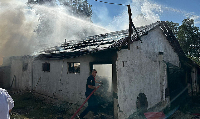 Samsun'un Ladik ilçesinde samanlıkta çıkan yangın korkuttu