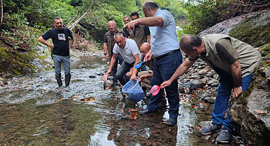Samsun'un Salıpazarı ilçesinde alabalıklar doğaya bırakıldı