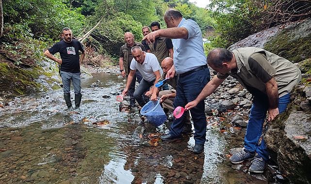 Samsun'un Salıpazarı ilçesinde alabalıklar doğaya bırakıldı