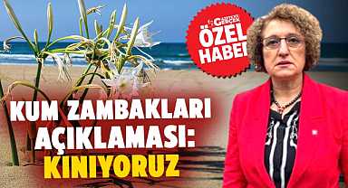 Samsun Ziraat Mühendisleri Odası'ndan kum zambakları açıklaması: Kınıyoruz