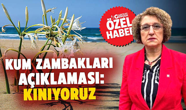 Samsun Ziraat Mühendisleri Odası'ndan kum zambakları açıklaması: Kınıyoruz