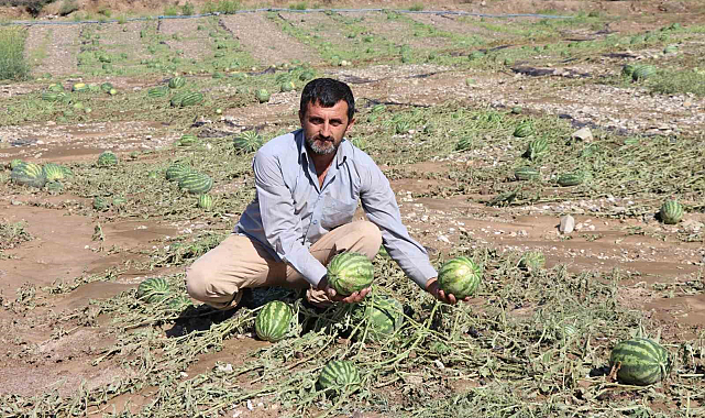 Sel Erzurum'da karpuz tarlasını vurdu