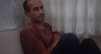 Sokak köpekleri bir adamı parçaladı