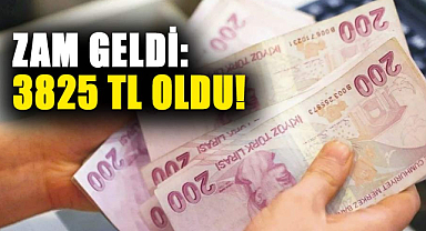Tarım ve Orman Bakanlığı açıkladı! 3 bin 825 TL oldu