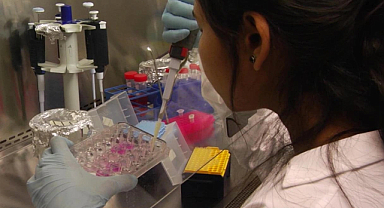 Tıp ilerledi! 3 boyutlu kanser dokuları geliştiriliyor