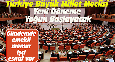 Türkiye Büyük Millet Meclisi yeni döneme yoğun başlayacak